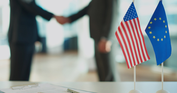 Yabancılar Hukuku: Göçmen Hakları ve Uyum Süreçleri